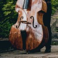 Musical Instruments: An Overview