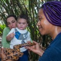 Exploring Live Online Playgroups: What You Need to Know