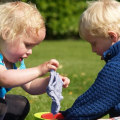 Stimulating Young Minds: Exploring the Benefits of Online Playgroups